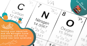 Setting your aquarium and the Nitrogen Cycle explained, and how to avoid new tank syndrome.