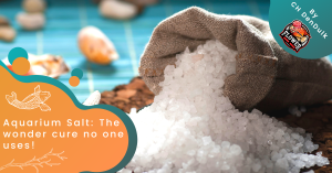 Aquarium Salt: The wonder cure no one uses!