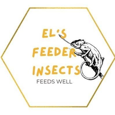 El's Feeder Insects