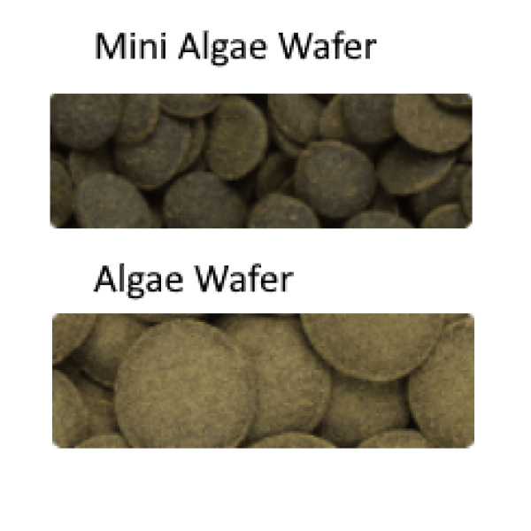 Hikari Tropical Algae Wafers Pellet Size 1