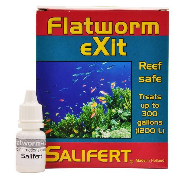 flatworm exit treatment
