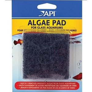 Algae Pad for Glass Aquarium 7.5cm x 7.5cm