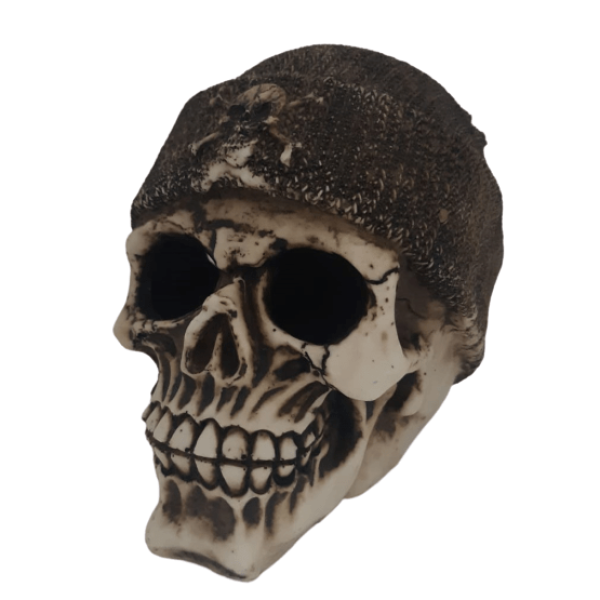 CH40074 Skull Ornament 1