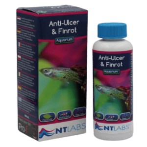 NT Labs Anti-Ulcer & Fin Rot 100ml
