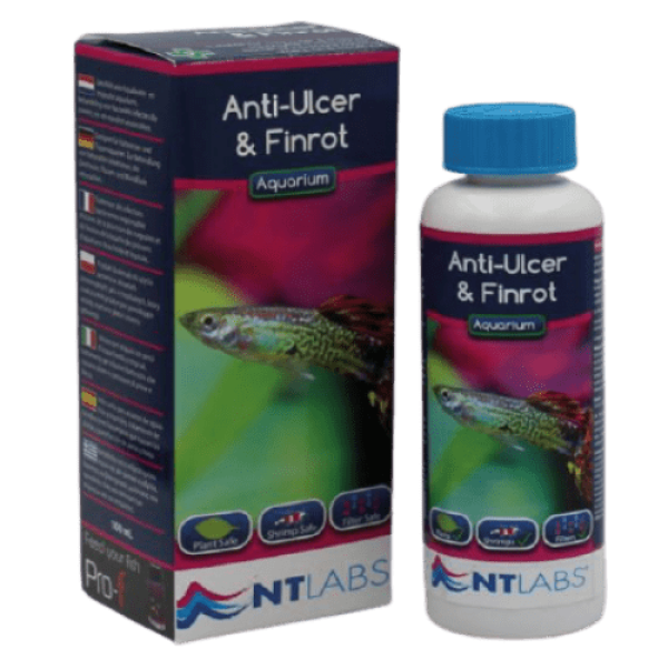 NT Labs Anti Ulcer n Finrot