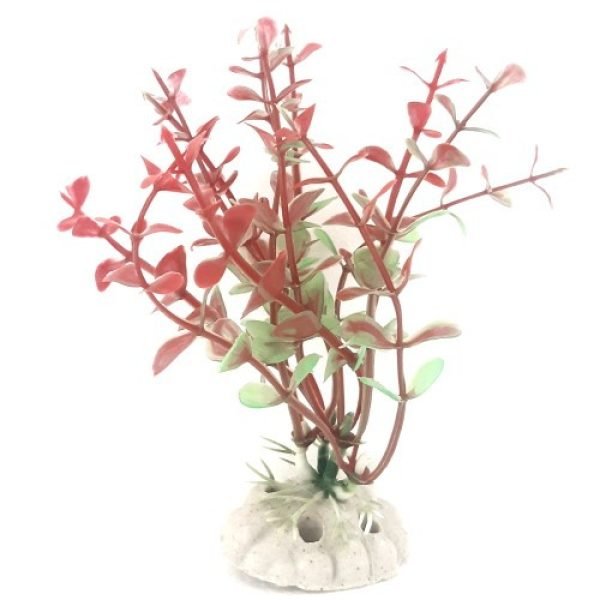 PP011A4 Plastic Plant Baby Tear Red 125mm