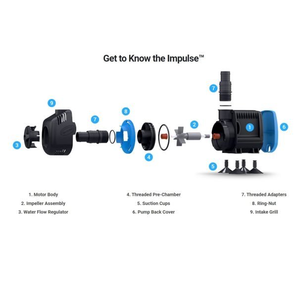 Seachem Impulse pump get to know
