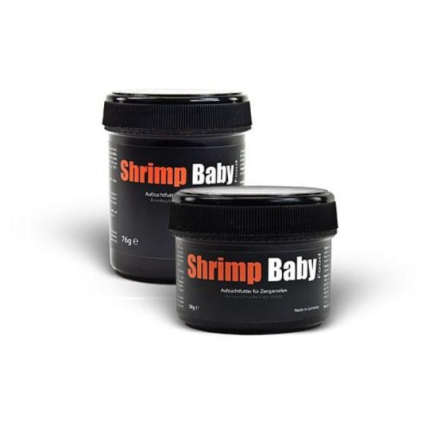 shrimp baby food