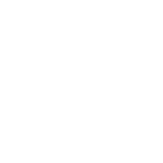 Black friday Gecko 1