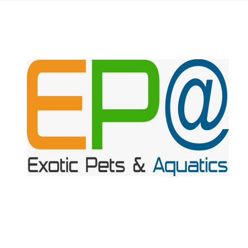 Exotic Pets and Aquatics