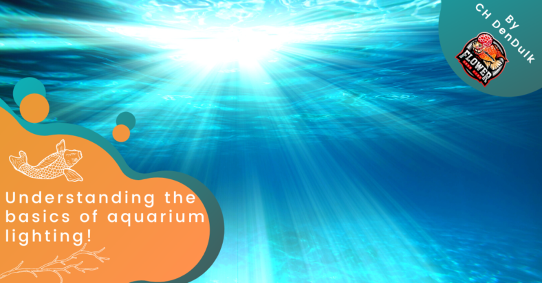 Understanding the basics of aquarium lighting!