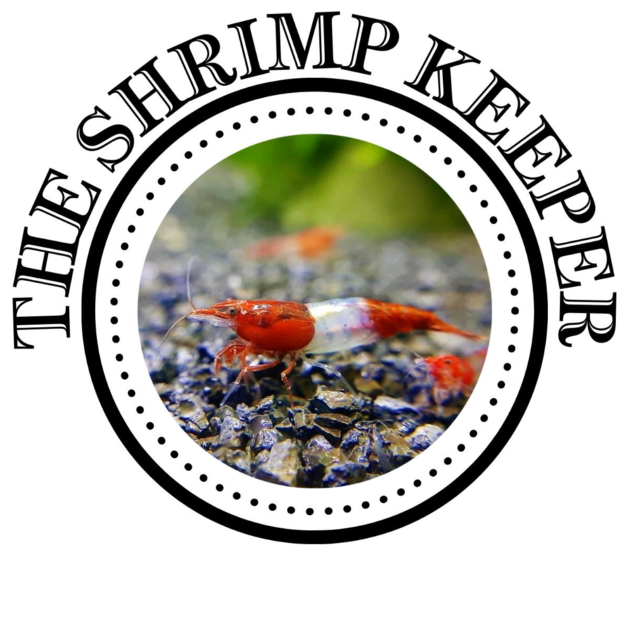 The Shrimp Keeper