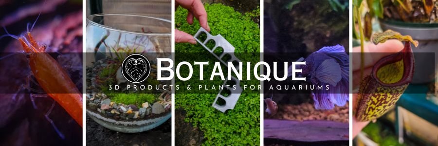 3D PRODUCTS PLANTS FOR AQUARIUMS 2