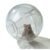 HAMSTER EXERCISE BALL IN BOX