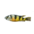 Haplochromis Obliquidens 60mm – Zebra Hap