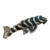 Orinoco Zebra Pleco