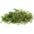 Magic Earch Water Green Moss (Sphangnum Moss) 2L