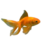 Fantail Goldfish small