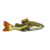 Redtail Catfish 4-5cm